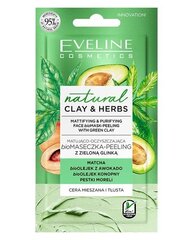 Puhastav näomask kombineeritud ja rasusele nahale Eveline Clay&Herbs, 8 ml цена и информация | Маски для лица, патчи для глаз | kaup24.ee