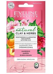 Увлажняющая маска для лица Eveline Clay&Herbs, 8 мл цена и информация | Маски для лица, патчи для глаз | kaup24.ee