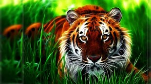 Алмазная мозаика тигр на траве 30х50 см цена и информация | Алмазная мозаика | kaup24.ee