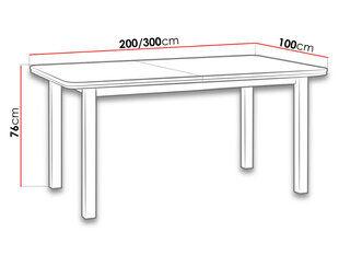 Раздвижной обеденный стол цена и информация | Кухонные и обеденные столы | kaup24.ee