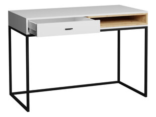Письменный стол Olier цена и информация | Компьютерные, письменные столы | kaup24.ee