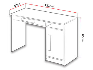 Письменный стол Guliver цена и информация | Компьютерные, письменные столы | kaup24.ee