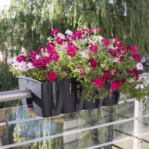 Lillepott rõdule CROWN, erinevad suurused hind ja info | Dekoratiivsed lillepotid | kaup24.ee