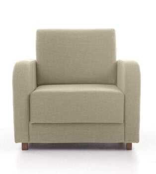 Кресло-кровать Aada  цена и информация | Кресла | kaup24.ee