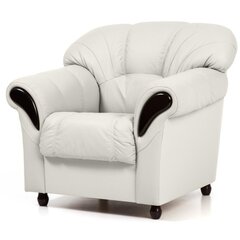 Кресло Rosa, белое цена и информация | Кресла в гостиную | kaup24.ee