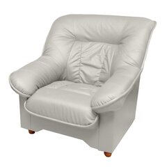 Кресло Spencer N, белое цена и информация | Кресла | kaup24.ee