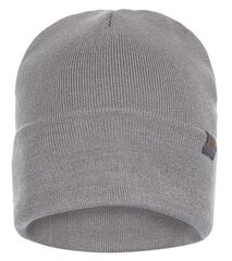 Müts цена и информация | Мужские шарфы, шапки, перчатки | kaup24.ee