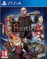 PlayStation 4 Mäng Rustler цена и информация | Arvutimängud, konsoolimängud | kaup24.ee