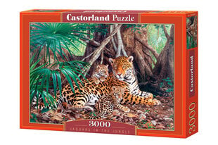 Pusle Castorland Puzzle Jaguars In The Jungle, 3000 osaline цена и информация | Пазлы | kaup24.ee