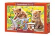 Pusle Castorland Tea Time, 500 osaline hind ja info | Pusled | kaup24.ee