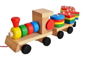 Puidust rong erinevate kuubikutega hind ja info | Arendavad mänguasjad | kaup24.ee