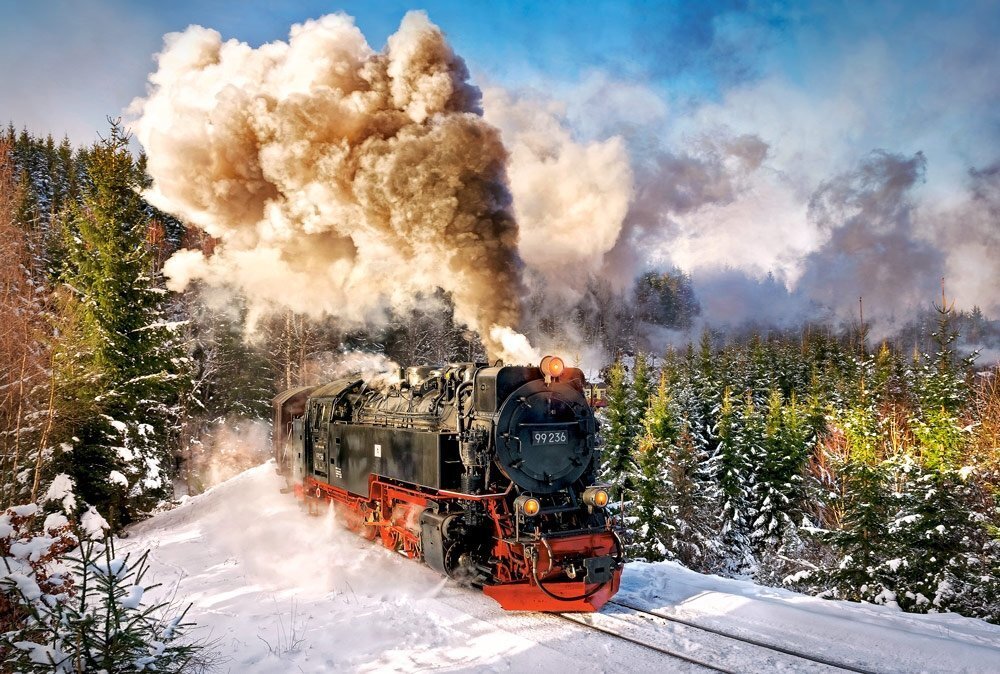Pusle Castorland Puzzle Steam Train, 1000-osaline hind ja info | Pusled | kaup24.ee
