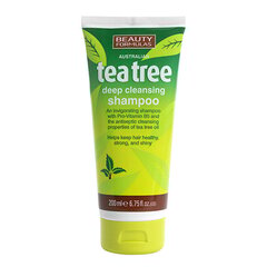 Beauty Formulas Tea Tree šampoon 200 ml цена и информация | Шампуни | kaup24.ee