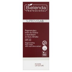 Bielenda Professional SupremeLab Power Of Nature näokreem 50 ml hind ja info | Näokreemid | kaup24.ee