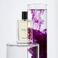 Parfüüm Culti Black Tux, 100 ml hind ja info | Naiste parfüümid | kaup24.ee
