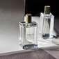 Parfüüm Culti Mileze, 100 ml цена и информация | Naiste parfüümid | kaup24.ee