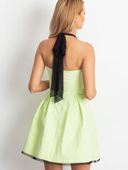 Расклешенное коктейльное платье светло-зеленого цвета цена и информация | Платья | kaup24.ee