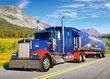 Pusle Castorland Kenworth W 900, 260tk. hind ja info | Pusled | kaup24.ee