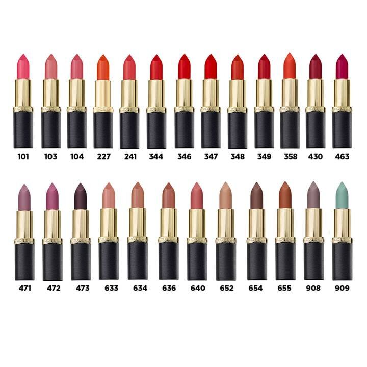 Kauapüsiv huulepulk L'Oreal Paris Color Riche Matte, 634 Greige perfecto, 4.8 g hind ja info | Huulepulgad, -läiked, -palsamid, vaseliin | kaup24.ee