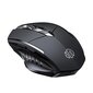 Inphic PM6 Wireless Mouse (Black) hind ja info | Hiired | kaup24.ee