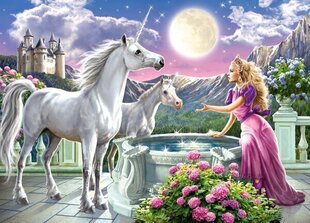 Puzzle 120 Princess and her Unicorns 13098 hind ja info | Pusled | kaup24.ee