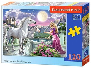 Puzzle 120 Princess and her Unicorns 13098 hind ja info | Pusled | kaup24.ee