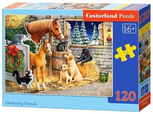 Puzzle 120 Gathering Friends 13340 цена и информация | Пазлы | kaup24.ee