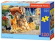 Puzzle 120 Gathering Friends 13340 hind ja info | Pusled | kaup24.ee