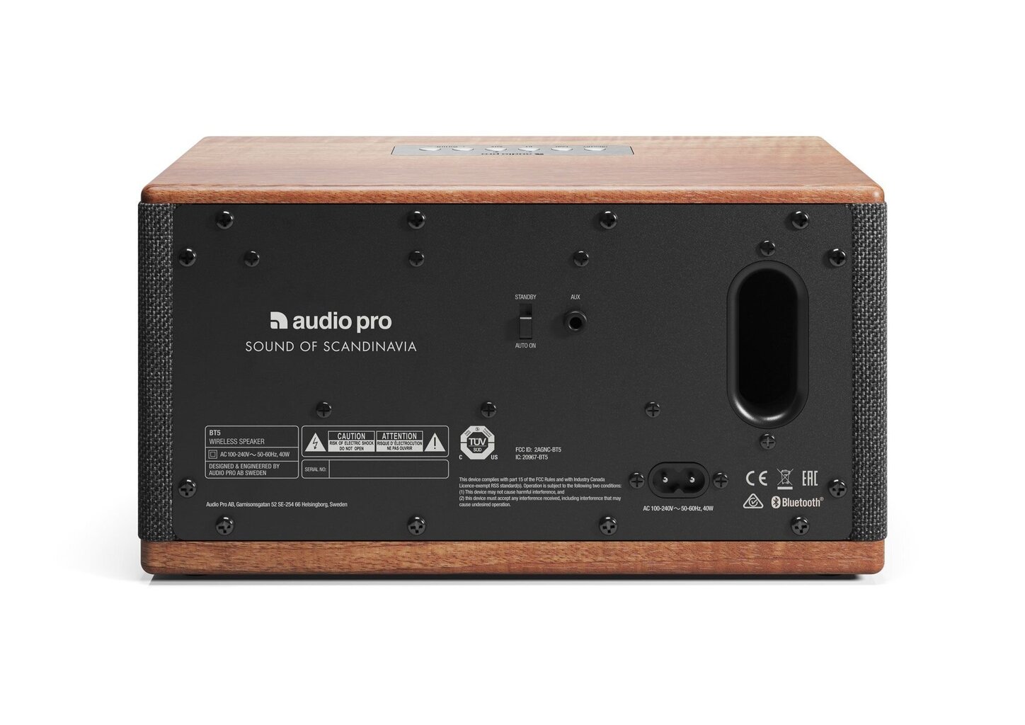 Audio Pro BT 5 hind ja info | Kõlarid | kaup24.ee