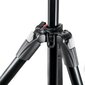 Manfrotto statiivikomplekt MK290XTA3-3W hind ja info | Statiivid | kaup24.ee