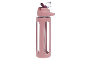 Klaaspudel kõrrega Atom, 600 ml, roosa hind ja info | Joogipudelid | kaup24.ee