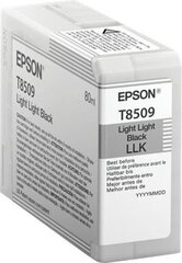 Epson T8509 Ink Cartridge, Light Light B hind ja info | Tindiprinteri kassetid | kaup24.ee