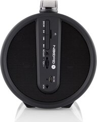 Hyundai GoGEN BPS320STR USB BT цена и информация | Аудио колонки | kaup24.ee
