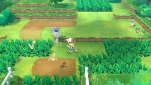 Nintendo Switch mäng Pokemon: Let's Go, Pikachu! цена и информация | Компьютерные игры | kaup24.ee