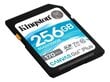 Kingston Technology Canvas Go! Plus mälukaart 256 GB SD UHS-I Klass 10 цена и информация | Mobiiltelefonide mälukaardid | kaup24.ee