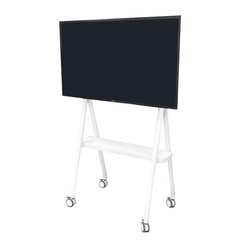 TV SET ACC FLOOR STAND/32-65 NS-M1500WHITE NEWSTAR цена и информация | Кронштейны и крепления для телевизоров | kaup24.ee