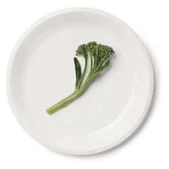 Iittala Raami тарелка 27 см белый цена и информация | Посуда, тарелки, обеденные сервизы | kaup24.ee