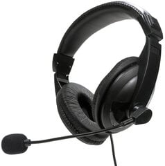 Fiesta headset FIS7510 (45423) цена и информация | Наушники | kaup24.ee