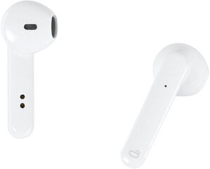 Vivanco беспроводные наушники + микрофон Smart Air Pair, белые (60599) цена и информация | Наушники | kaup24.ee