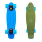 Rula Worker Pennyboard Sunbow Spitfire 22ʺ цена и информация | Rulad | kaup24.ee