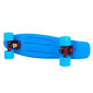 Rula Worker Pennyboard Sunbow Spitfire 22ʺ hind ja info | Rulad | kaup24.ee