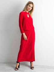 Pikk punane kleit väljalõikega. hind ja info | Kleidid | kaup24.ee