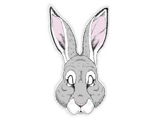 Väljalõigatav mask Rabbit hind ja info | Karnevali kostüümid | kaup24.ee