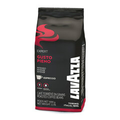 Kohv "Lavazza Expert Gusto Pieno", 1kg hind ja info | Kohv, kakao | kaup24.ee