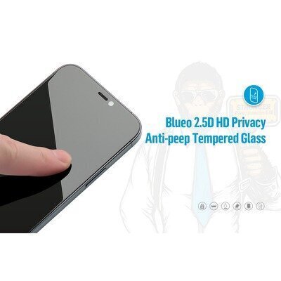 5D Mr. Monkey Glass - Apple iPhone 12/12 Pro (6,1") black (Strong Privacy) цена и информация | Ekraani kaitsekiled | kaup24.ee