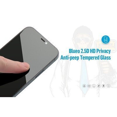 5D Mr. Monkey Glass - Apple iPhone 12 Pro max (6,7") black (Strong Privacy) цена и информация | Ekraani kaitsekiled | kaup24.ee