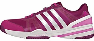 Кроссовки для тенниса Adidas M19763 цена и информация | Adidas Ракеточный спорт | kaup24.ee