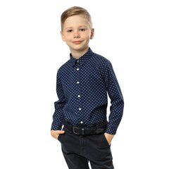 Poiste särk Regular 17S055, S110016760, sinine цена и информация | Рубашки для мальчиков | kaup24.ee