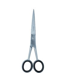 Ножницы для стрижки Donegal 5303 цена и информация | Расчески, щетки для волос, ножницы | kaup24.ee