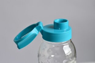 Dots Bottle 0,45L läbipaistev / sinine hind ja info | Joogipudelid | kaup24.ee